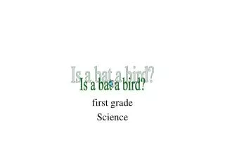 first grade Science