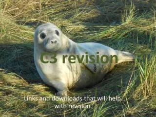 C3 revision