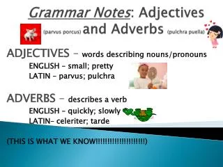 Grammar Notes : Adjectives ( parvus porcus ) and Adverbs ( pulchra puella )