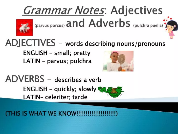 grammar notes adjectives parvus porcus and adverbs pulchra puella