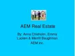 AEM Real Estate - slide 1