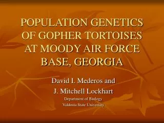 POPULATION GENETICS OF GOPHER TORTOISES AT MOODY AIR FORCE BASE, GEORGIA