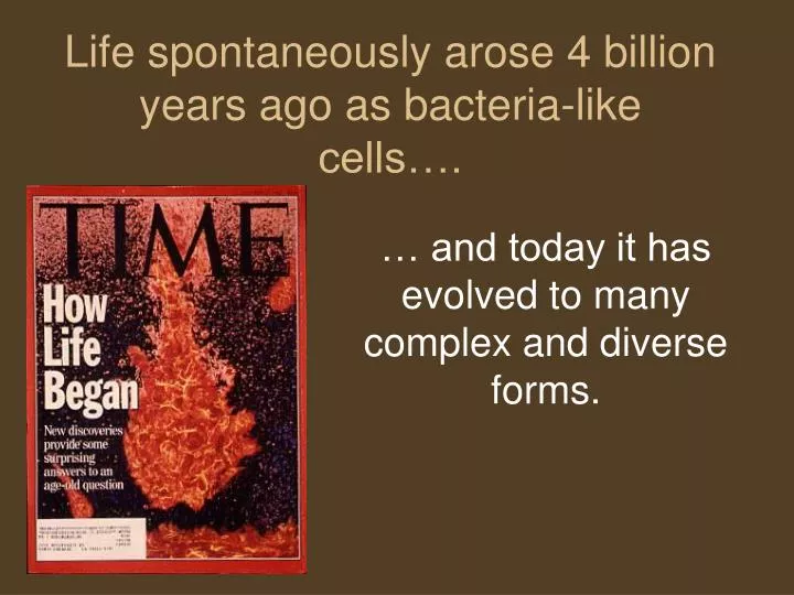 life spontaneously arose 4 billion years ago as bacteria like cells