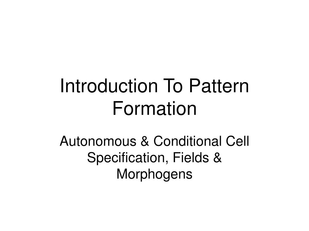 Pattern Introduction Slide PPT - Introduction To Pattern Formation PowerPoint Presentation, free ...
