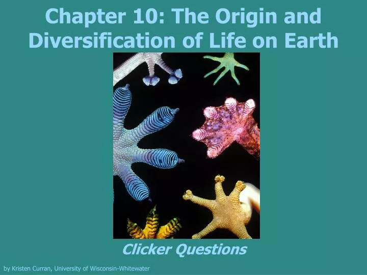 chapter 10 the origin and diversification of life on earth