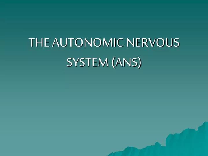 the autonomic nervous system ans