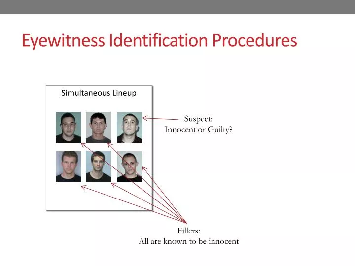 eyewitness identification procedures