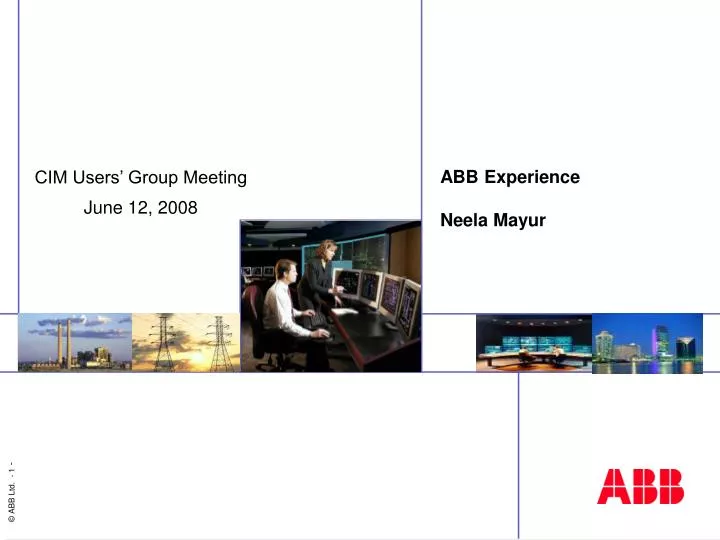 abb experience neela mayur