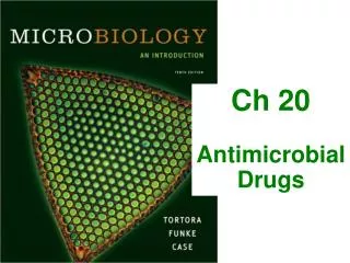 Ch 20 Antimicrobial Drugs