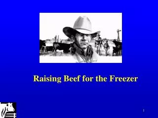 Raising Beef for the Freezer