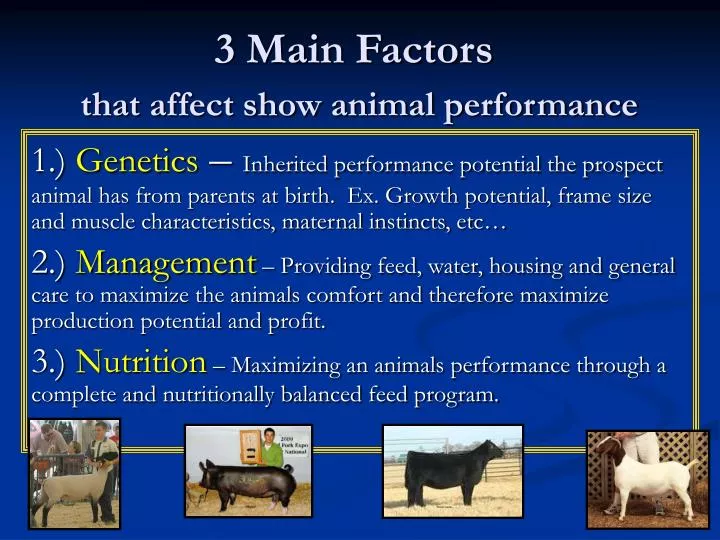 3 main factors that affect show animal performance