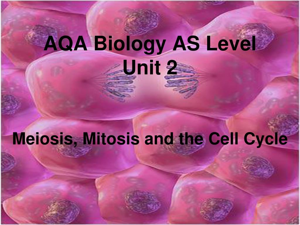 PPT - AQA Biology AS Level Unit 2 PowerPoint Presentation, free ...