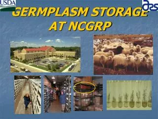 GERMPLASM STORAGE AT NCGRP