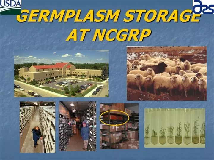 germplasm storage at ncgrp
