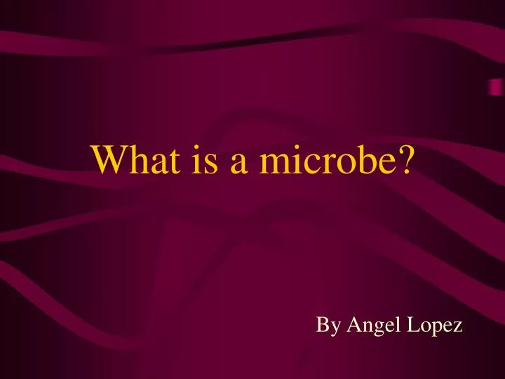 what is a microbe
