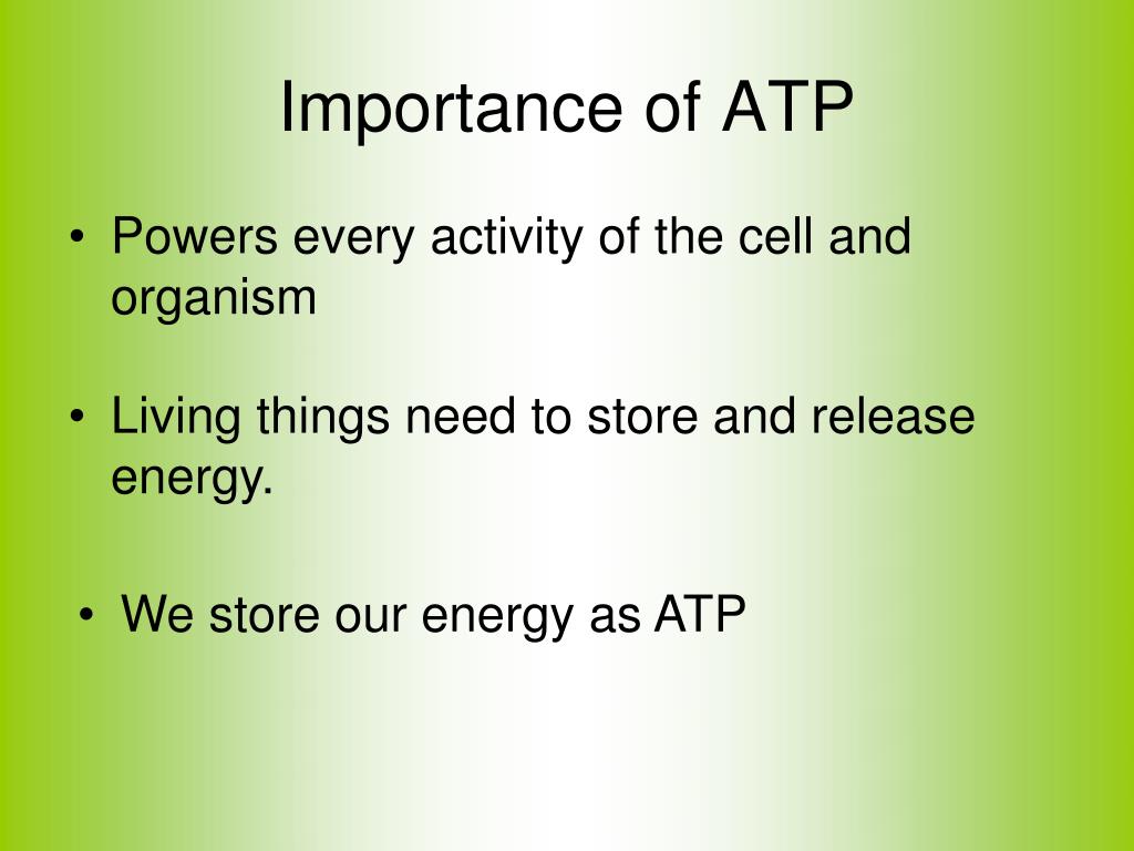PPT - Importance of ATP PowerPoint Presentation, free download - ID:6679499