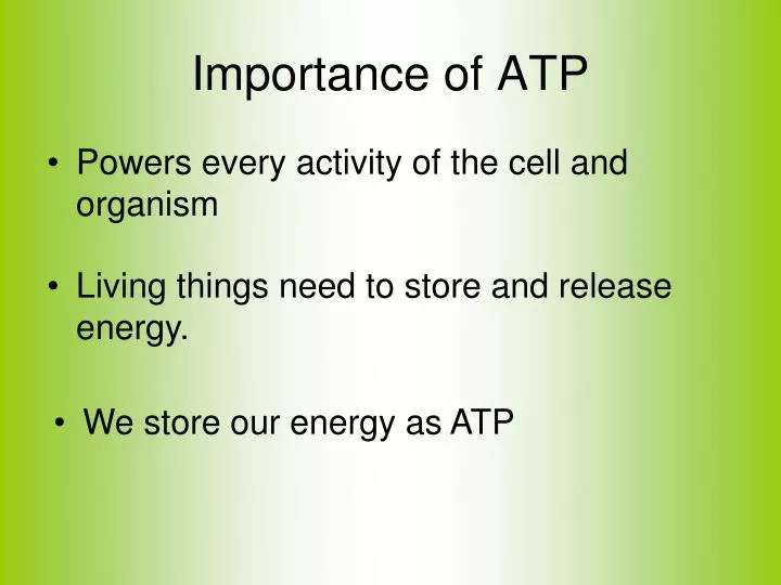 importance of atp