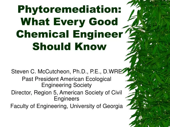 phytoremediation what every good chemical engineer should know