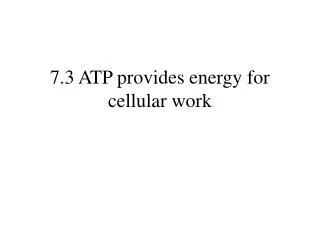 7.3 ATP provides energy for cellular work