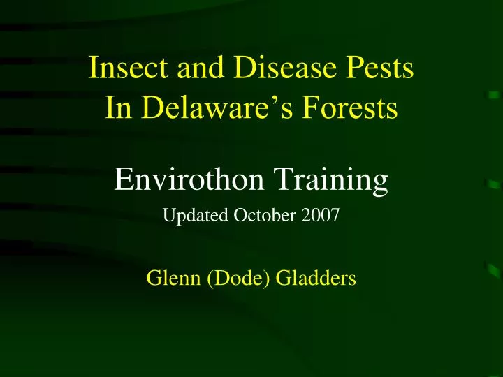 insect and disease pests in delaware s forests