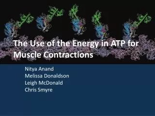 The Use of the Energy in ATP for Muscle Contractions