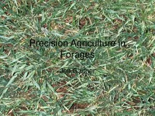 Precision Agriculture in Forages