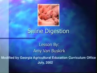 Swine Digestion