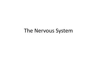 The Nervous System