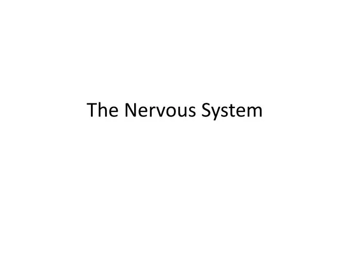 the nervous system