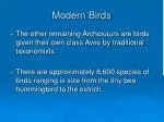 Modern Birds - slide 1