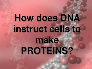 How does DNA instruct cells to make PROTEINS?