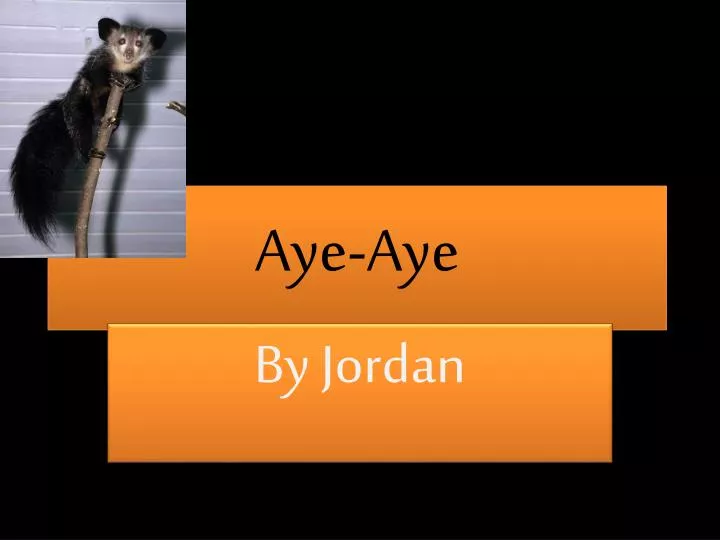 aye aye