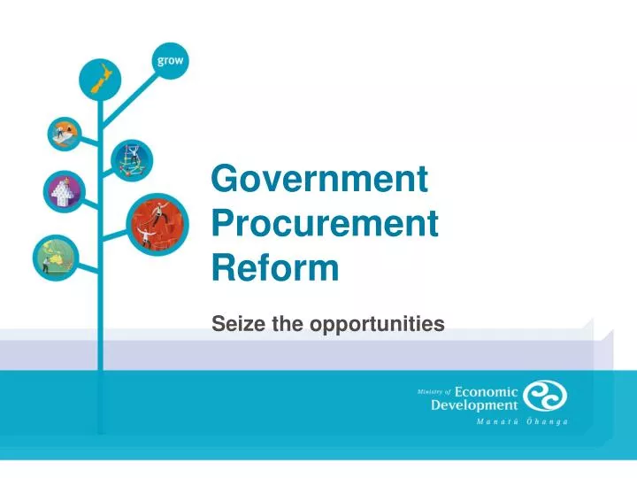 government procurement reform