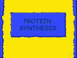 protein synthesis