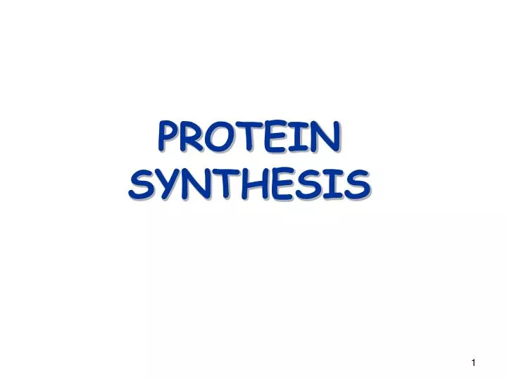 protein synthesis