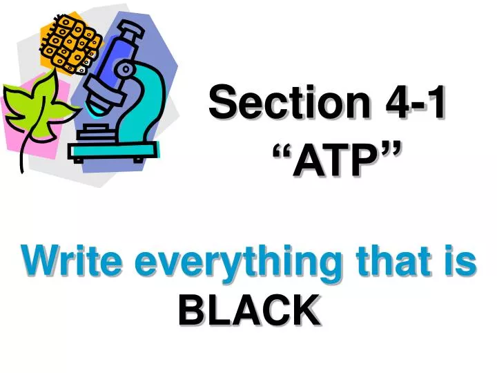 section 4 1 atp