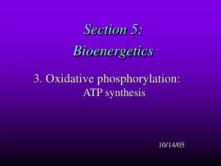 Section 5: Bioenergetics