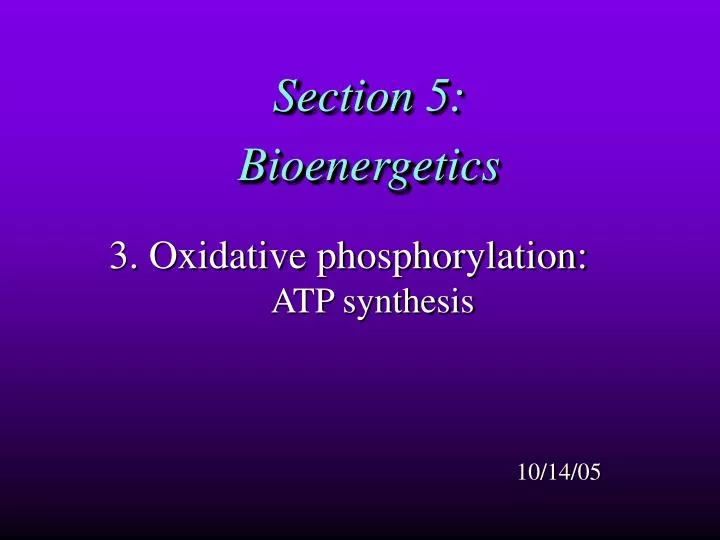 section 5 bioenergetics