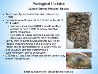 Ecological Updates Mussel Survey Protocol Update