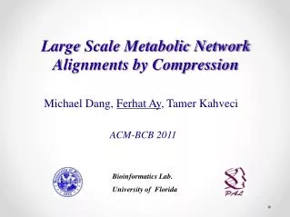 Large Scale Metabolic Network Alignments by Compression