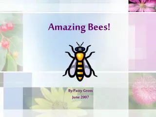 Amazing Bees!