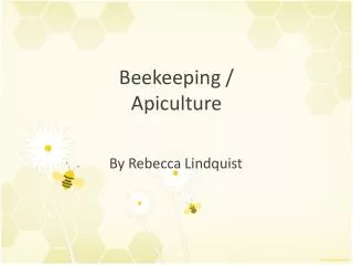 Beekeeping / Apiculture