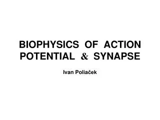 BIOPHYSICS OF ACTION POTENTIAL &amp; SYNAPSE