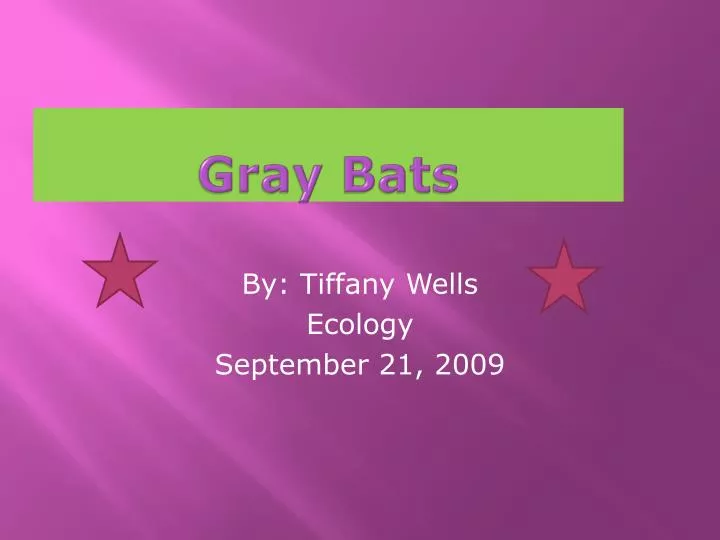 gray bats