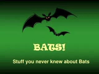 BATS!