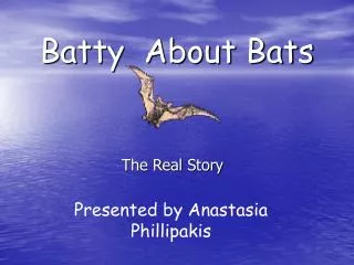 Batty About Bats