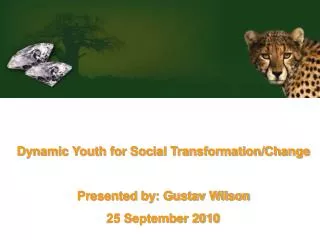 Dynamic Youth for Social Transformation/Change Presented by: Gustav Wilson 25 September 2010