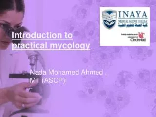 Nada Mohamed Ahmed , MT (ASCP) i