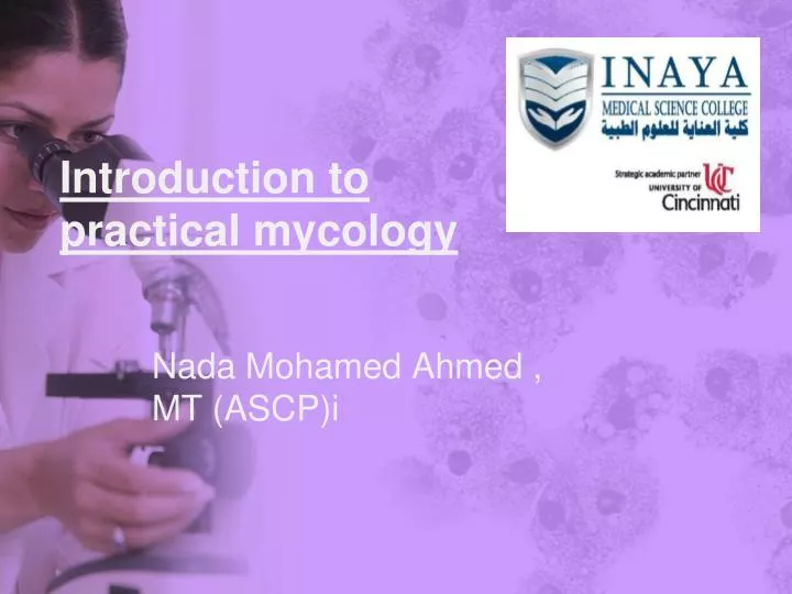 nada mohamed ahmed mt ascp i