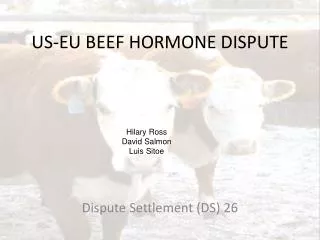 US-EU BEEF HORMONE DISPUTE